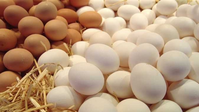 أسعار البيض اليوم السبت