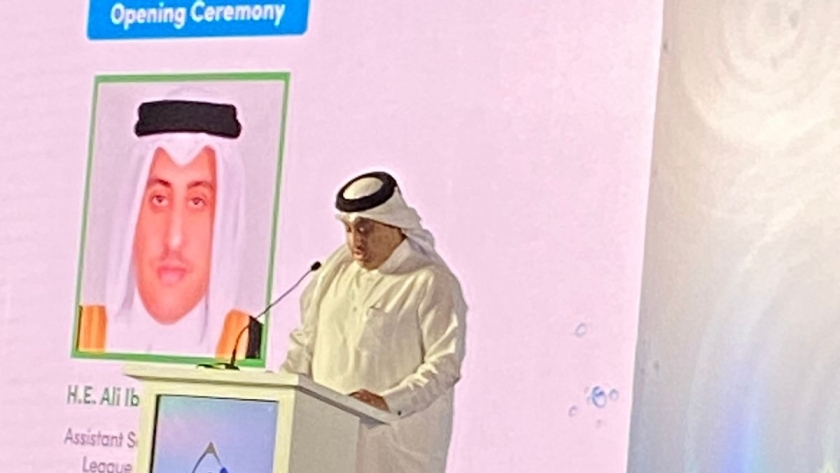 الدكتور علي بن إبراهيم المالكي، الأمين العام المساعد رئيس قطاع الشؤون الاقتصادية