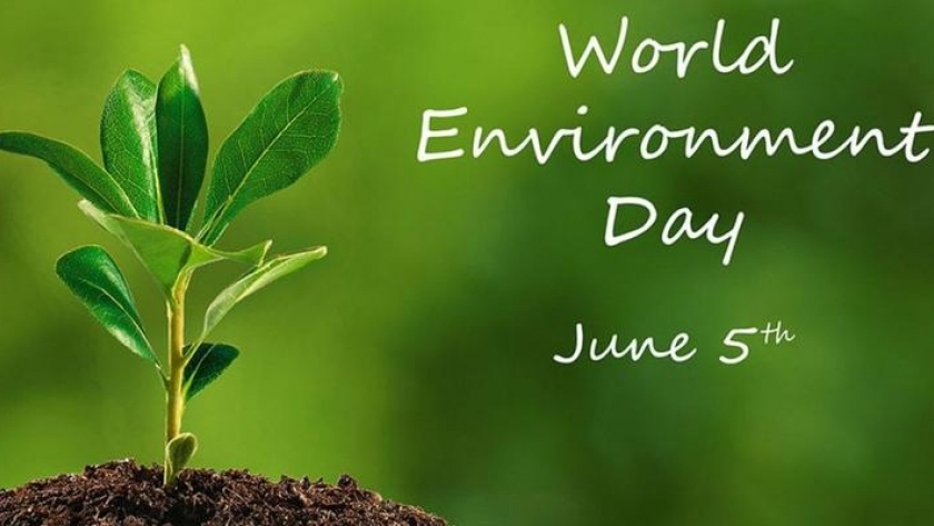 اليوم العالمي للبيئة