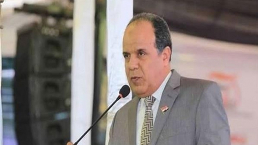 النائب أحمد مهني عضو مجلس النواب