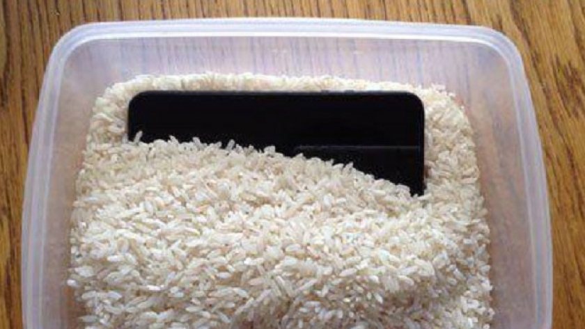 "الحبوب" تبدأ توريد أرز بأسعار مخفضة لصالح التموين الخميس المقبل