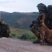 بالصور| جيش الاحتلال ينهي تدريبا في قبرص يحاكي حربا شاملة على لبنان