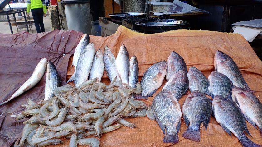 سوق السمك في الإسكندرية