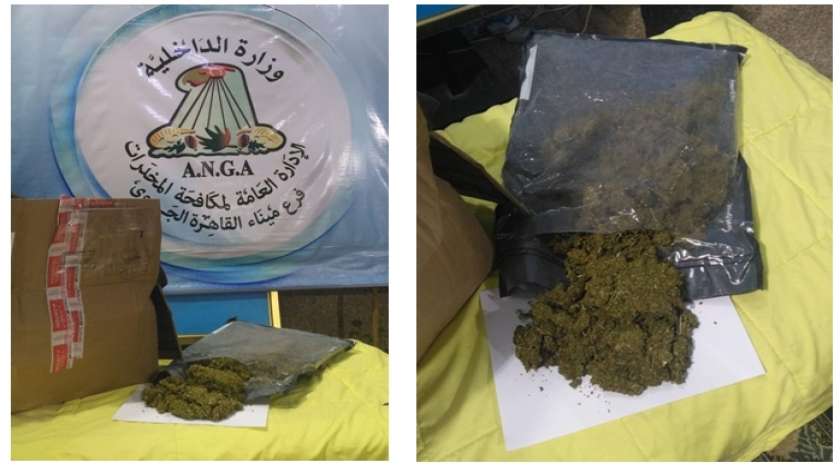 ضبط 500 جرام من مخدر الماريجوانا داخل طرود البريدية بمطار القاهرة 