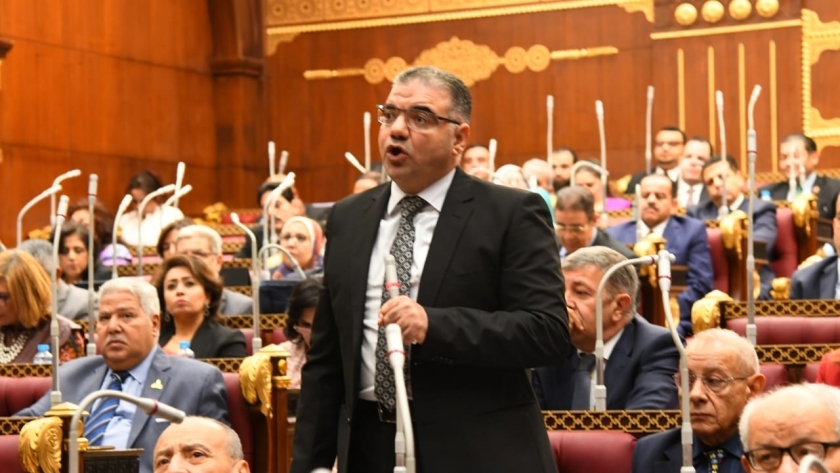 النائب الدكتور سيد حجازي عضو مجلس الشيوخ