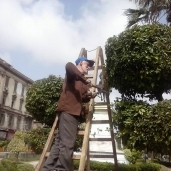 حي الجمرك بالإسكندرية يتابع أعمال تقليم الأشجار بنطاق الحي