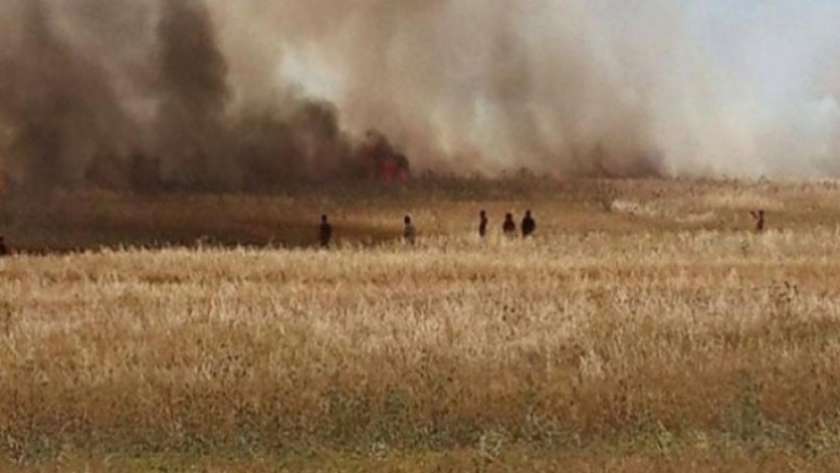 حريق في مزارع للحبوب بـ«باجة» التونسية