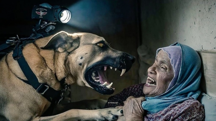 صورة كلب يهاجم سيدة مسنة فلسطينية (الصورة معالجة بالذكاء الاصطناعي لتوضيحها)