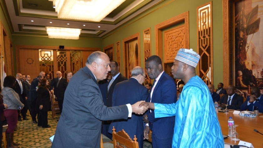 وزير الخارجية يلتقي السفراء الأفارقة اليوم