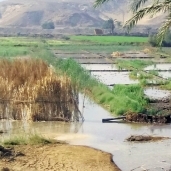 الأراضى الزراعية غارقة فى مياه الصرف الصحى