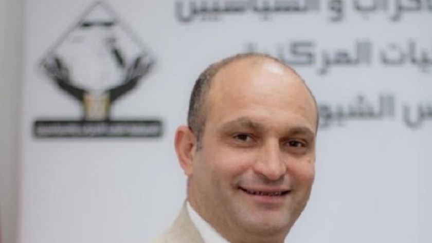 أحمد رمزي، الفائز بعضوية مجلس النواب عن تنسيقية شباب الأحزاب
