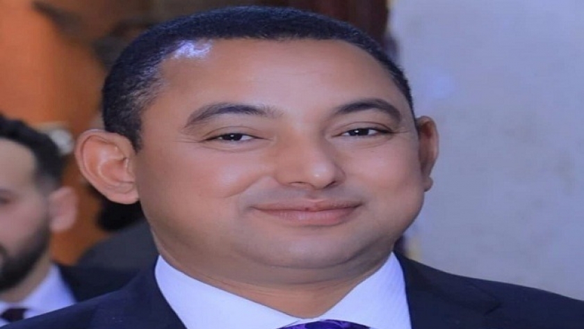 النائب الدكتور ناصر عثمان، أمين سر اللجنة التشريعية بمجلس النواب،