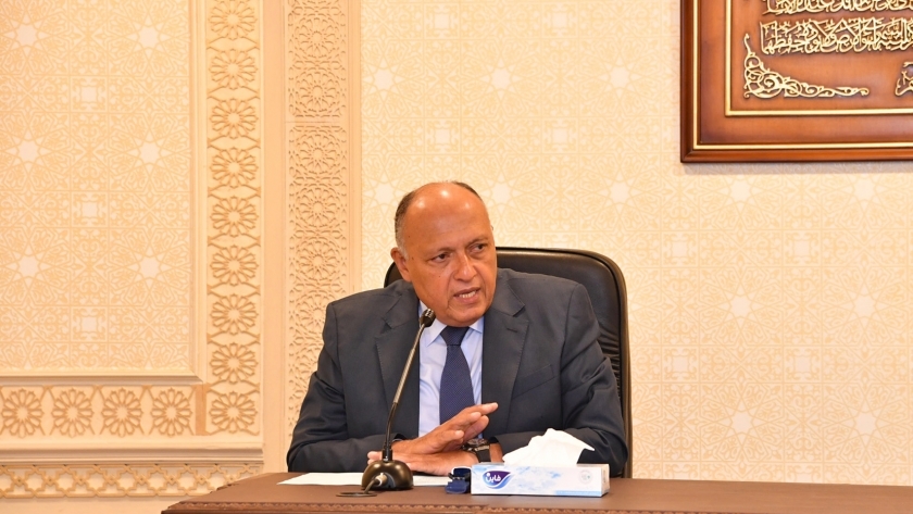 السفير سامح شكري، وزير الخارجية المصري