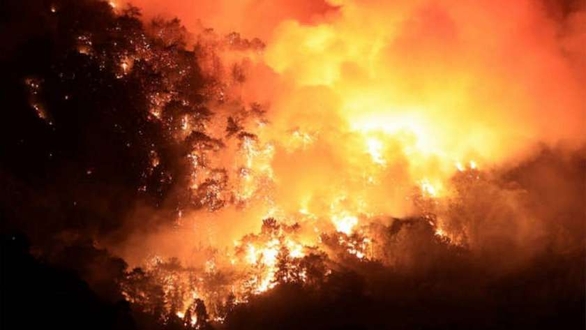 حرائق الغابات في تركيا التهمت قطاع السياحة