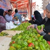 ارتفاع جديد فى أسعار الخضر والفاكهة بمختلف الأسواق يثير استياء المواطنين