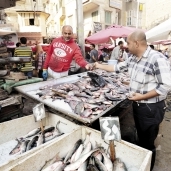 مواطنون يقبلون على شراء السمك الطازج