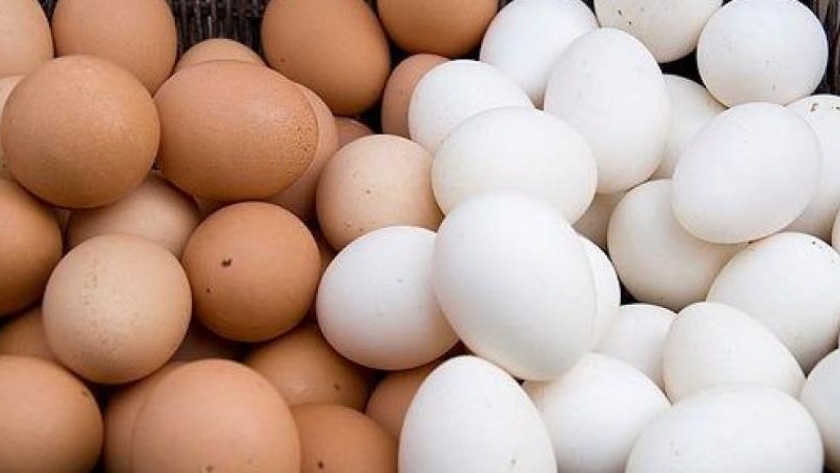 أسعار  البيض واللحوم والدواجن فى منافذ وزارة الزراعة