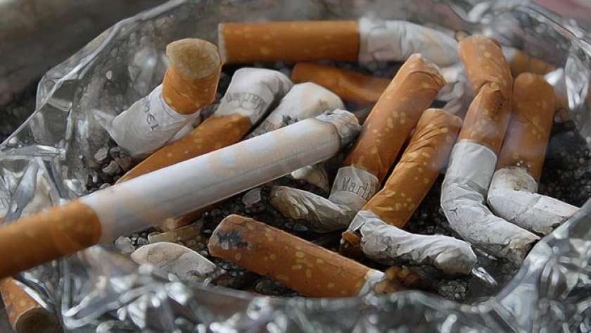 عاجل..شركات السجائر تتخفظ على الرخصة الجديدة وتطالب"مدبولي"بتأجيلها