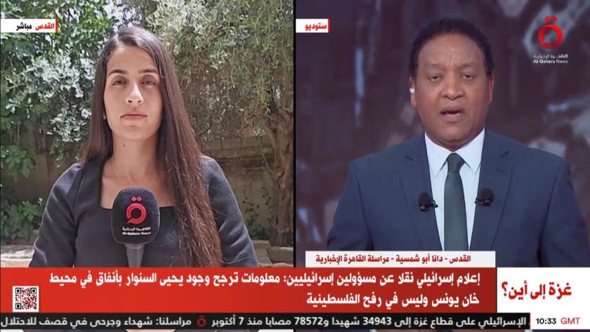 دانا أبو شمسية مراسلة القاهرة الإخبارية