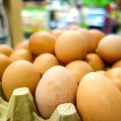 انخفاض طفيف في اسعار البيض