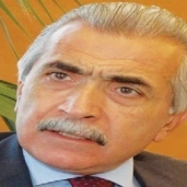 عمر مهنا رئيس مجلس الأعمال المصري الأمريكي