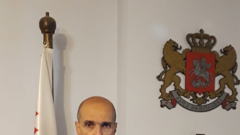 سفير جورجيا بالقاهرة ألكسندر نالبندوف فى تصريحات ل"الوطن"
