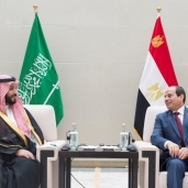 الرئيس السيسي وولي العهد السعودي محمد بن سلمان في لقاء سابق