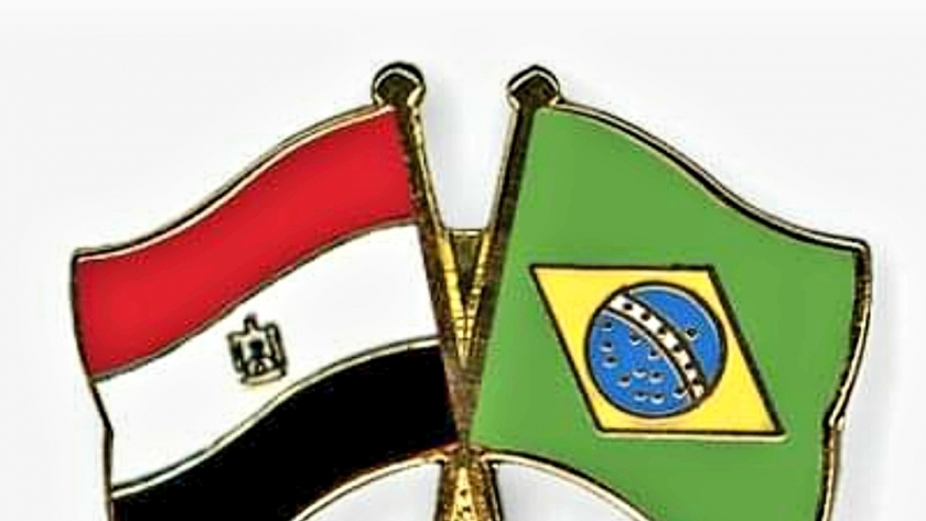 العلاقات التجارية المصرية البرازيلية