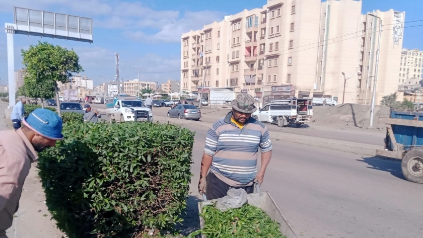 حملات نظافة موسعة وزراعة أشجار بكفر الشيخ
