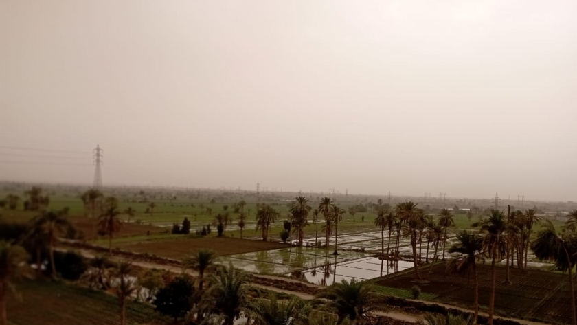أمطار خفيفة تضرب محافظة الفيوم الآن