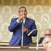 طاهر أبو زيد خلال الجلسة منح الثقة للحكومة