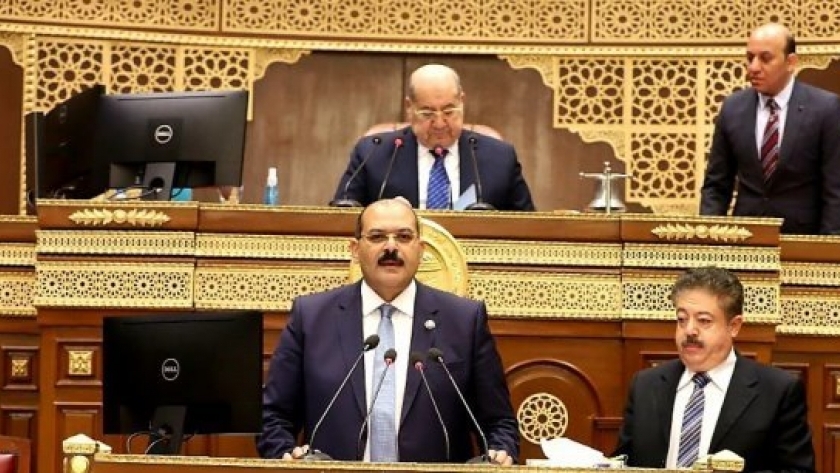الدكتور محمود صلاح، مقرر لجنة القوى العاملة بمجلس الشيوخ