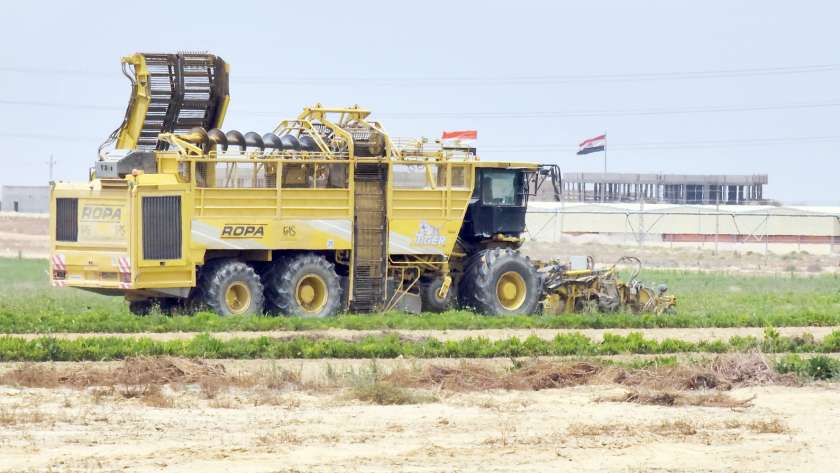 مشاريع التوسع الزراعي دعمت زيادة الصادرات