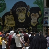 إقبال كبير من المواطنين على حديقة الحيوان