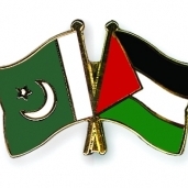 علم باكستان وفلسطين