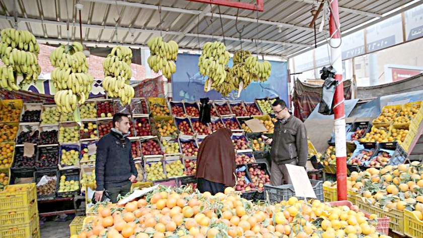 التموين تستعد للإعلان عن أول سوق متطور للخضار والفاكهة في الإسكندرية