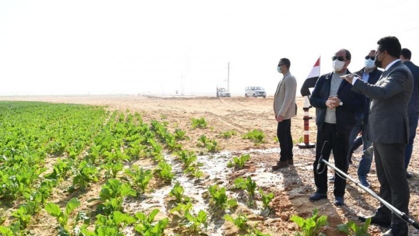 الرئيس السيسي خلال تفقده لمشروعات مصر الزراعية