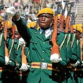 جيش زيمبابوي- أرشيفية