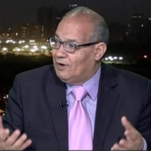 الدكتور سعيد اللاوندي، استاذ العلوم السياسية بجامعة القاهرة