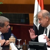 رئيس الوزراء يلتقي محمد شاكر لبحث مشروعات الكهرباء