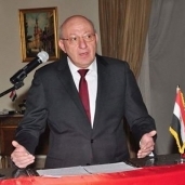 السفير ناصر حمدي