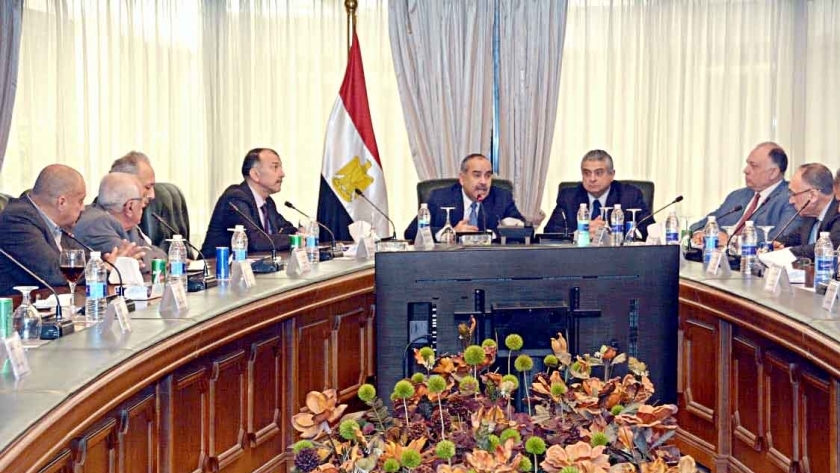 وزير الطيران المدني يبحث أوضاع شركات الطيران المصرية الخاصة