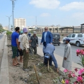 مساعد محافظ كفر الشيخ يتفقد أعمال النظافة بطريق ناجى شتلة