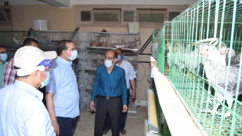 رئيس جامعة سوهاج يتابع العمل بمزارع الانتاج الحيواني والدواجن