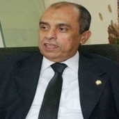 عز الدين ابوستيت وزير الزراعة