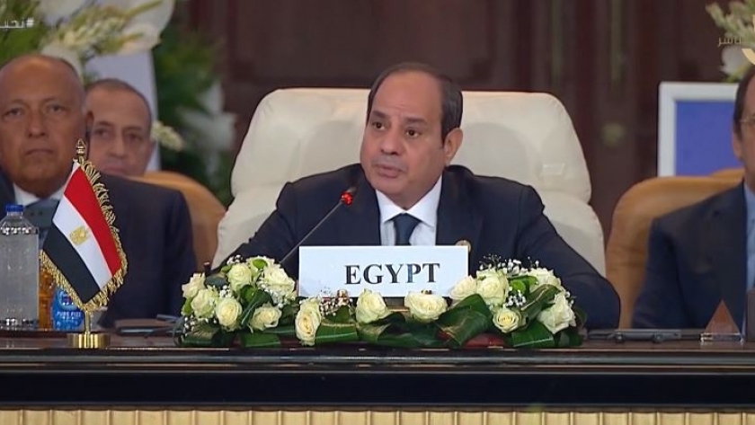 جانب من اللقاءات الدبلوماسية المصرية