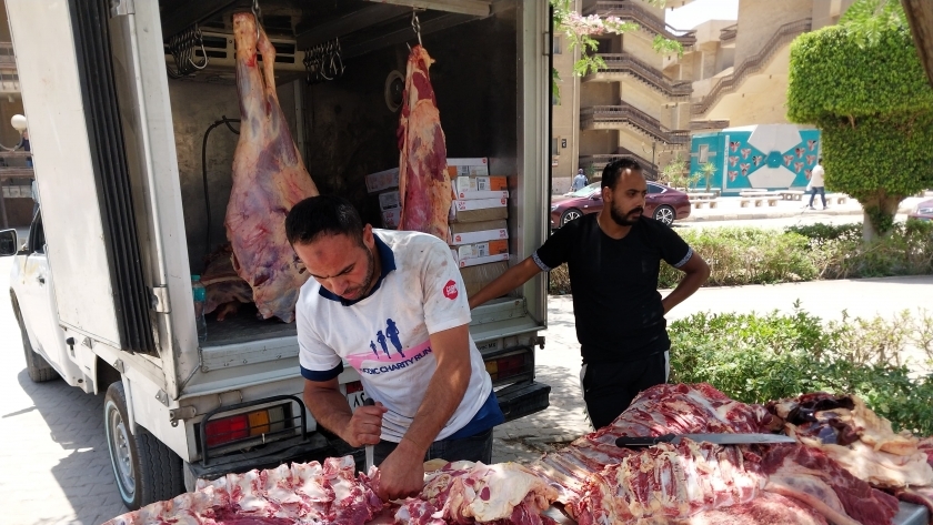 منفذ لبيع اللحوم بأسعار مخفضة داخل جامعة حلوان