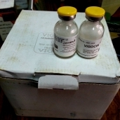 "بيطري الشرقية" يضبط أدوية منتهية الصلاحية ومجهولة المصدر في ديرب نجم