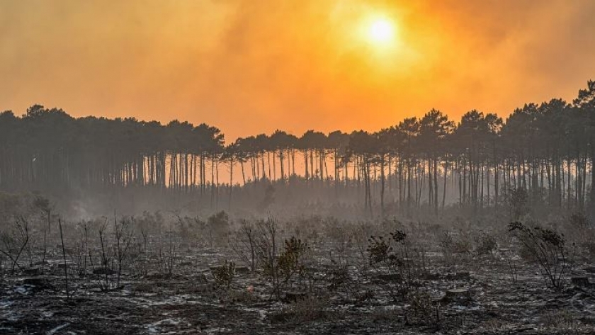 حرائق الغابات في أوروبا