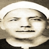 الشيخ محمد الصيفى